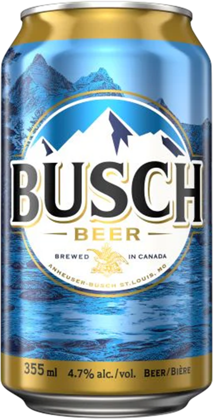Anheuser Busch Beer 4.3% - 24 x 35.5 cl Dose