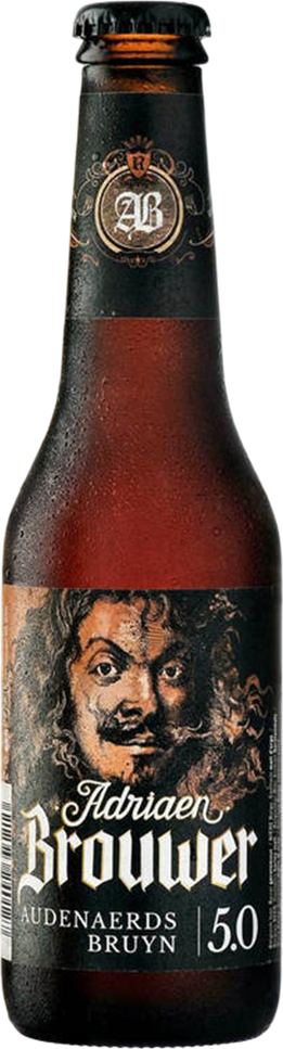 Adriaen Brouwer Audenaerds Bruyn 5% - 25 cl