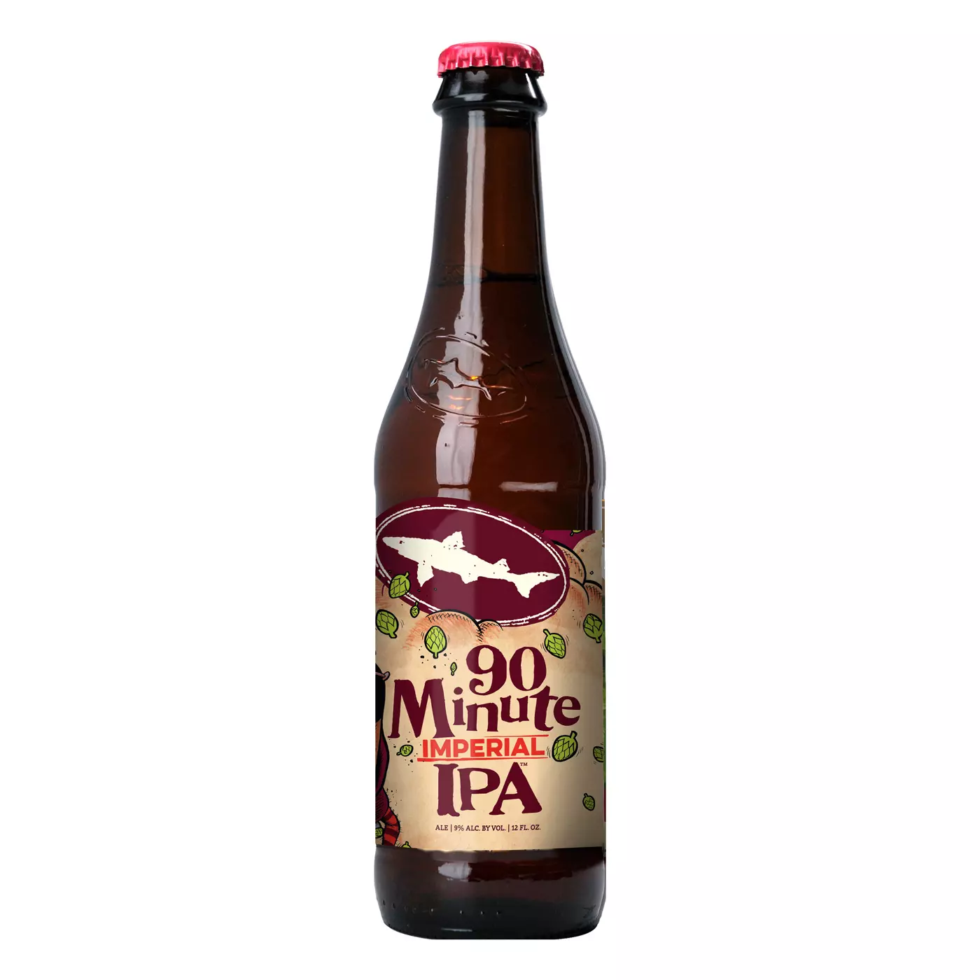 Dogfish Head 90 Minute IPA 9% - 24 x 35,5 cl