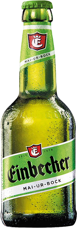 Einbecker Mai-Ur-Bock 6,5% Vol. 20 x 33 cl MW ( nur im Frühling erhältlich )