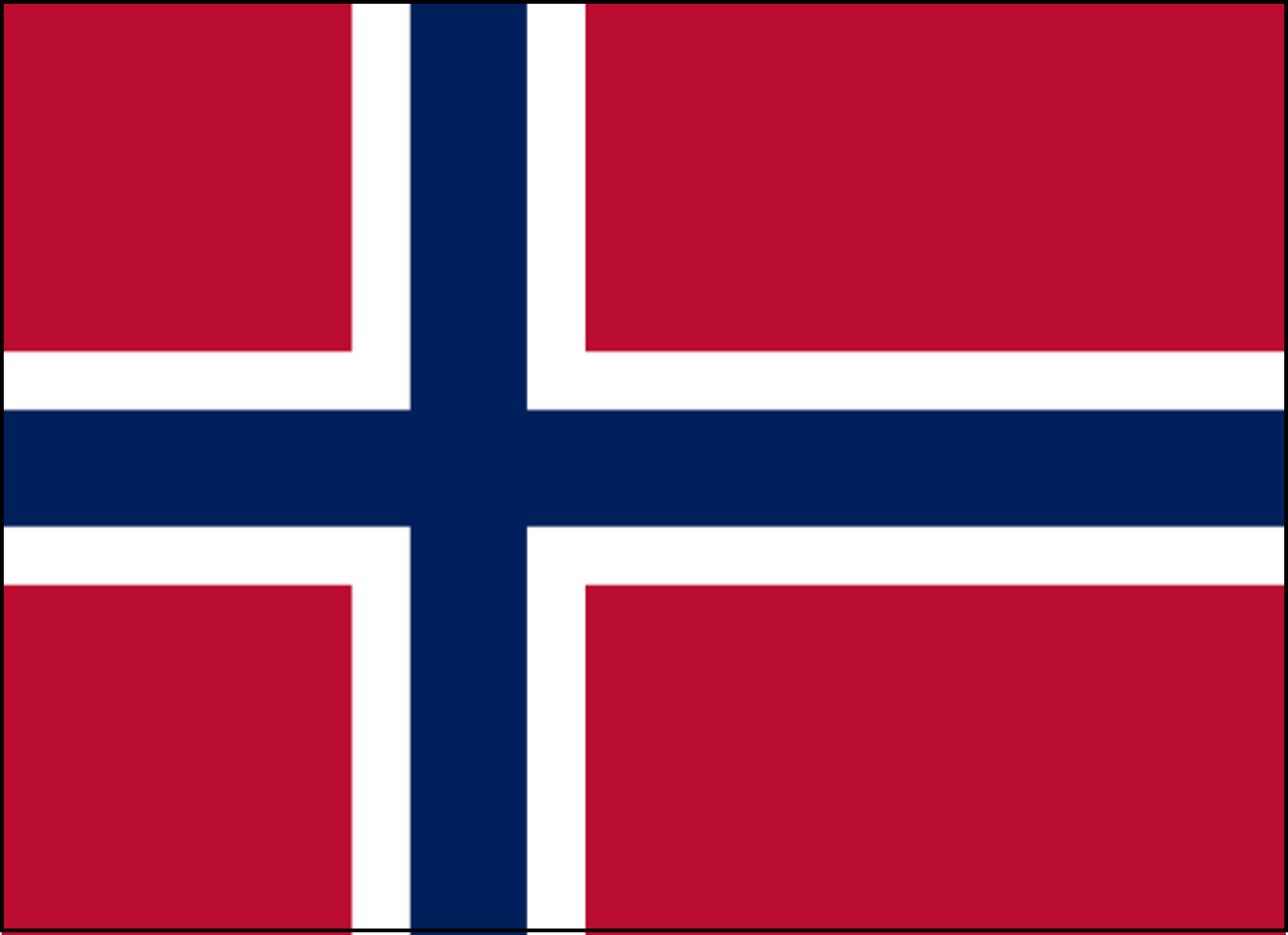 Lervig No Worries Pineapple Alkoholfrei - 24 x 33 cl Dose