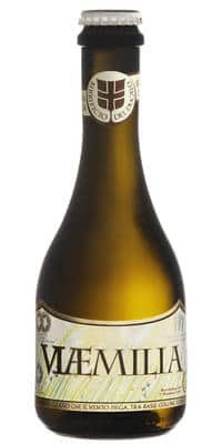 Birrificio del Ducato Viaemilia 5% - 12 x 33 cl