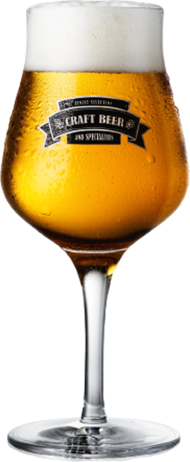 Craft Beer Kelch - 6 x 25 cl