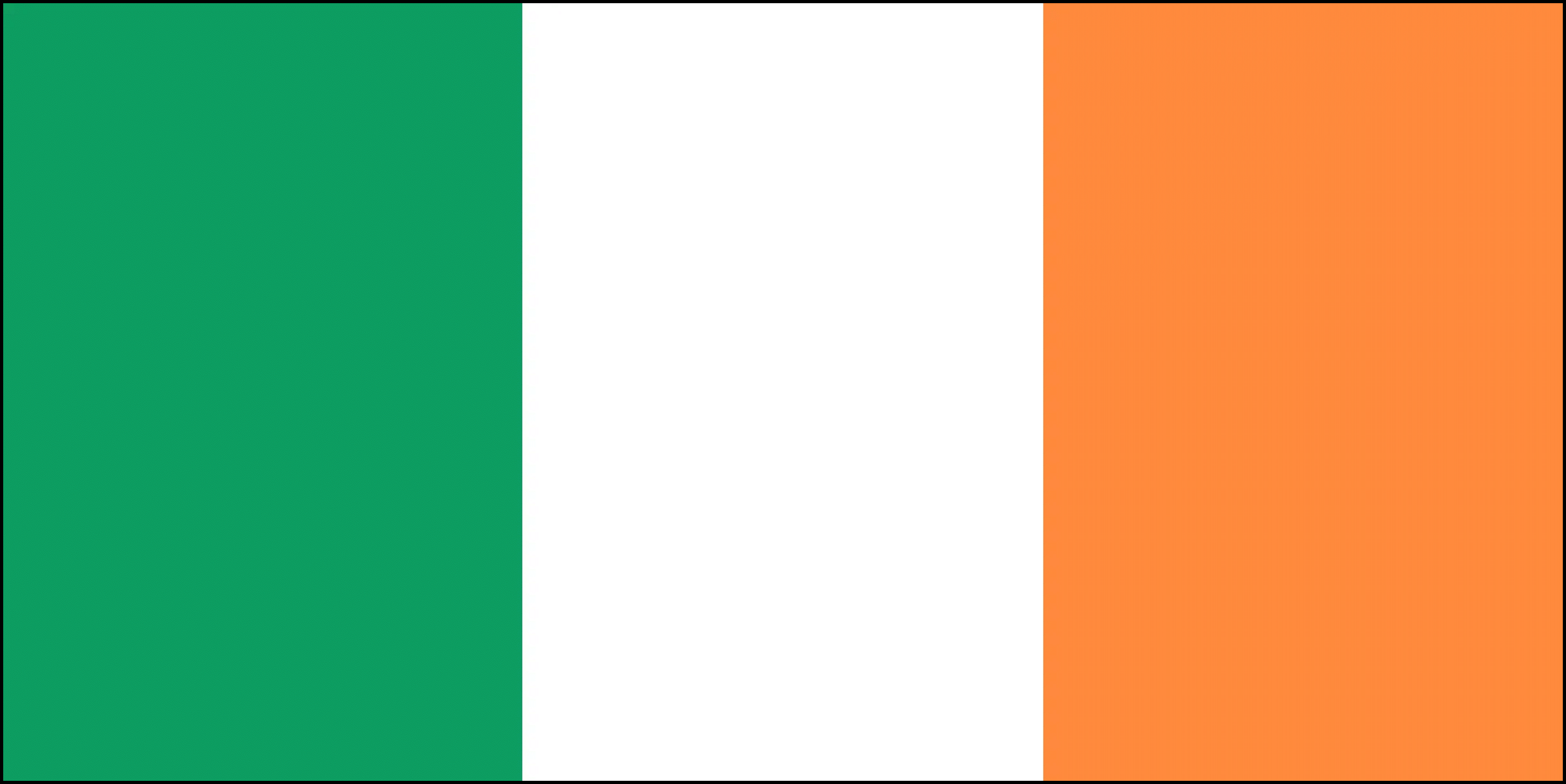 Murphys Irish Stout Glas 12 x 50 cl