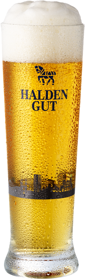 Haldengut Stange Kaspar - 6 x 25 cl