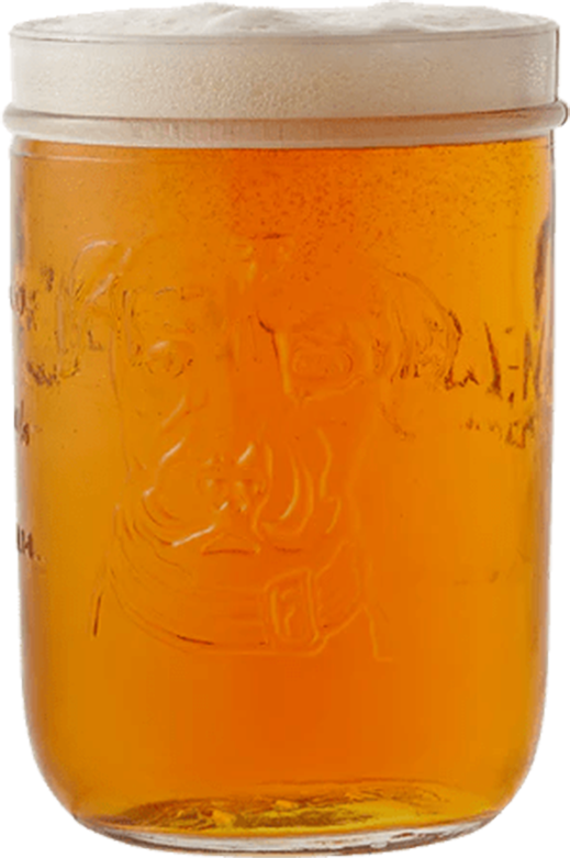 Lagunitas Bierglas - 6 x 25 cl